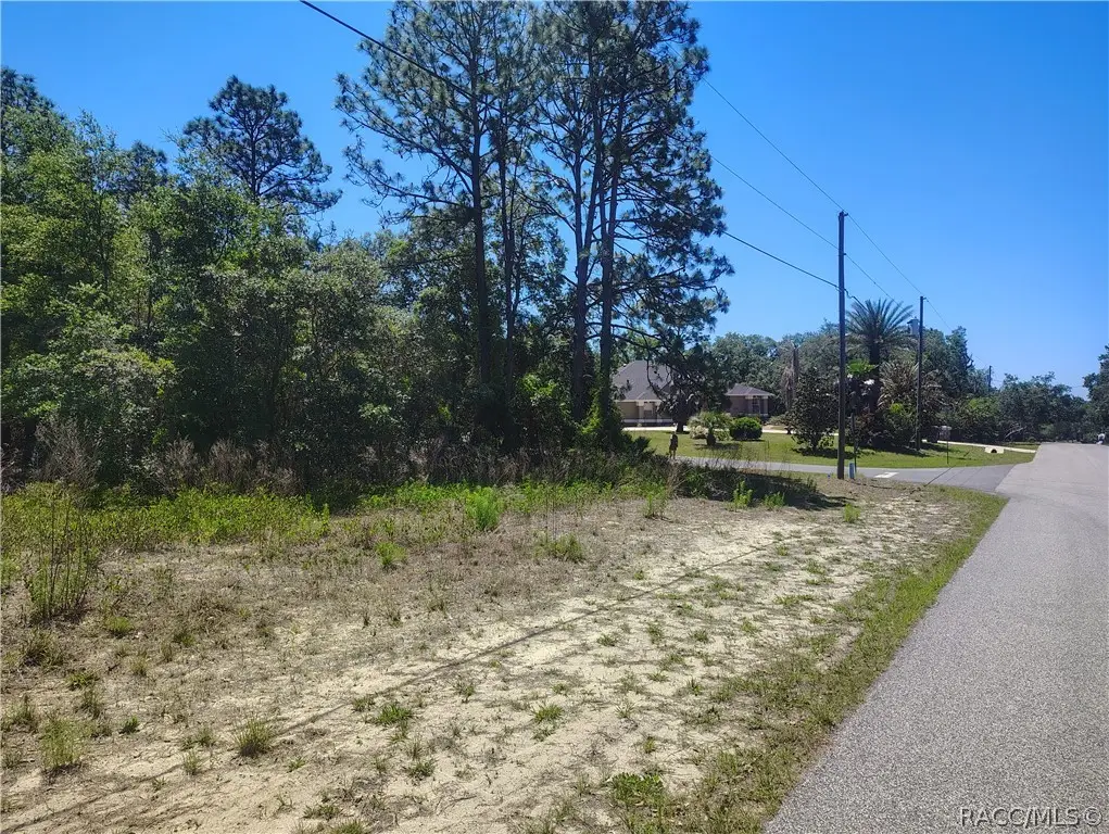 5141 N Wayne Drive, Beverly Hills, FL 34465 - #1