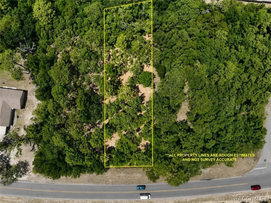 6119 W Homosassa Trail, Homosassa, FL 34448 - #2