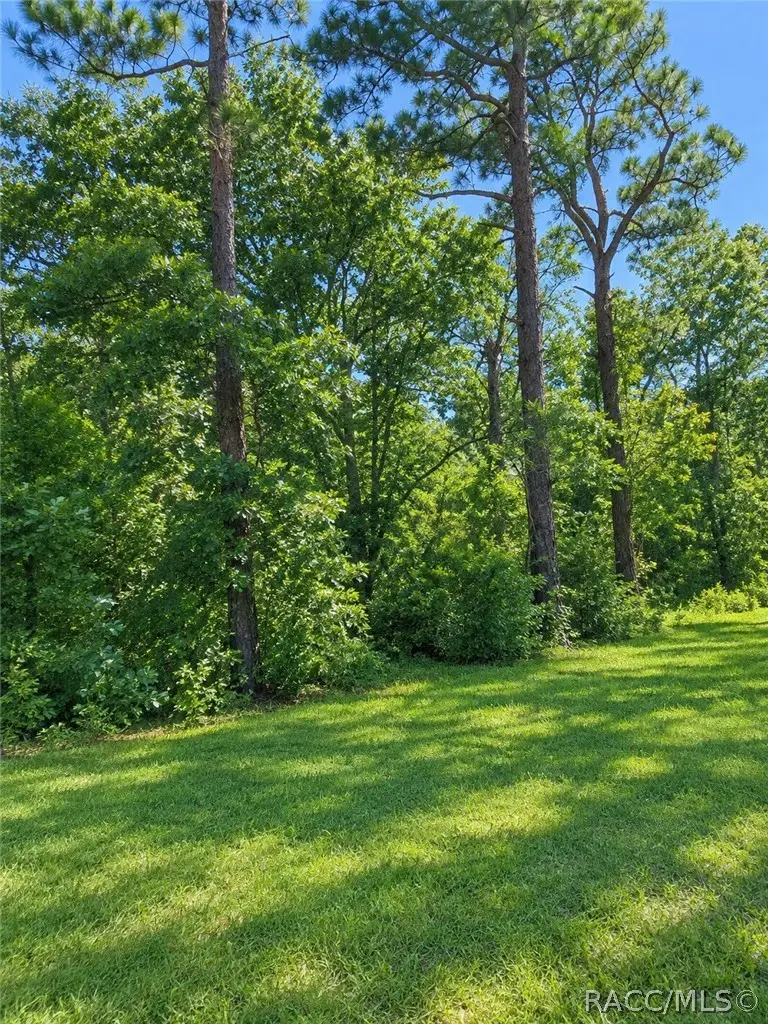 7360 W Dunnellon Road, Dunnellon, FL 34433 - #2