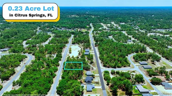 3111 W Redgate Drive, Dunnellon, FL 34433