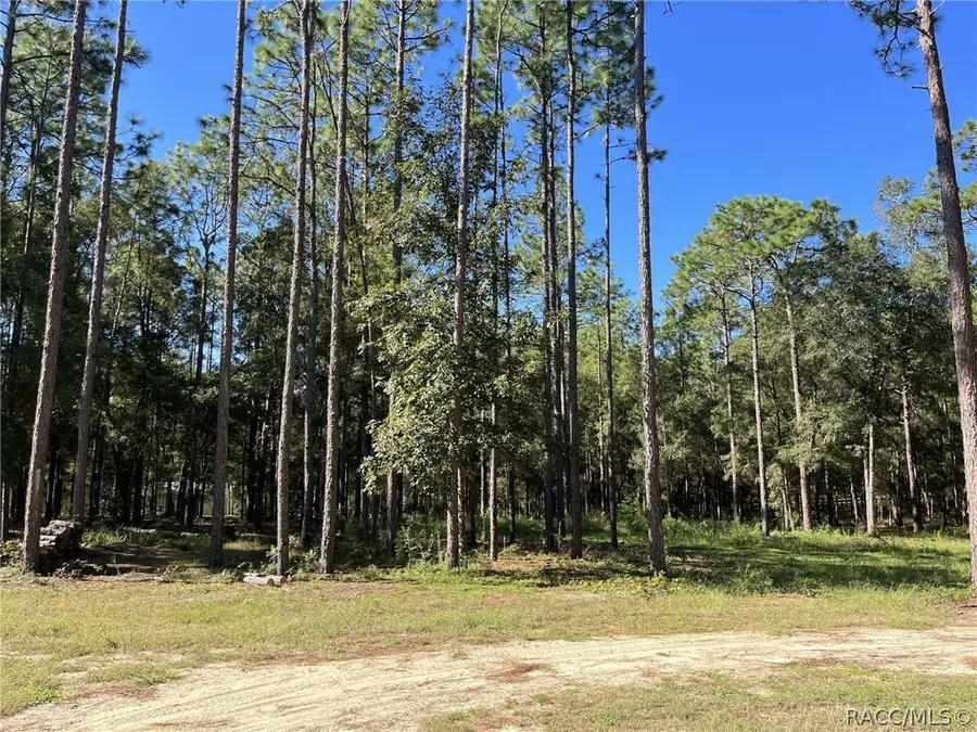 9804 S Berkshire Avenue, Inverness, FL 34452 - #3