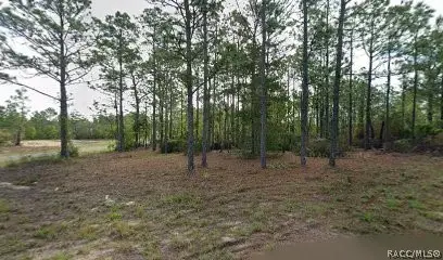 10599 N Caldera Avenue, Dunnellon, FL 34433 - #1