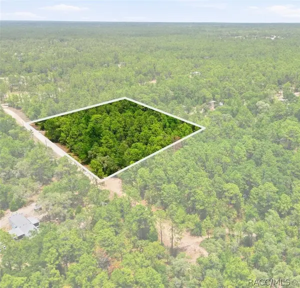 5339 N Lace Point, Dunnellon, FL 34433