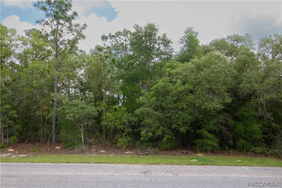 8591 N Vince Drive, Citrus Springs, FL 34434 - #2