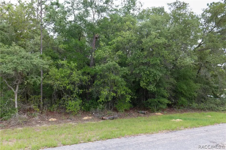 8591 N Vince Drive, Citrus Springs, FL 34434 - #3