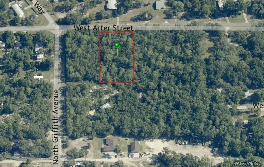 6692 W Arter Street, Crystal River, FL 34429 - #3
