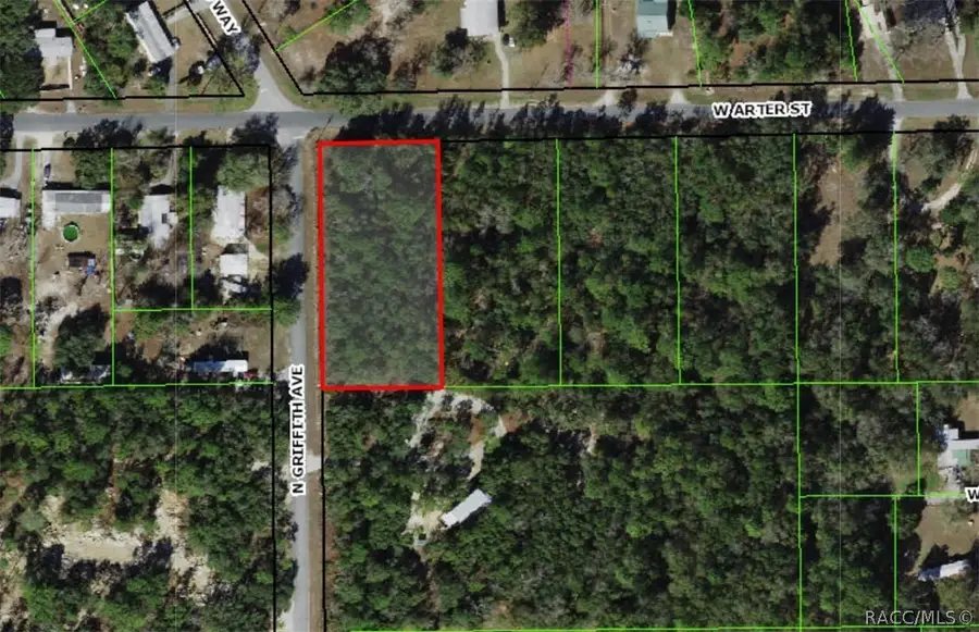 963 N Griffith Avenue, Crystal River, FL 34429 - #3