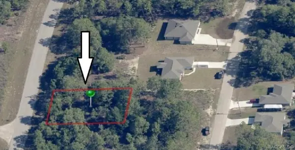 6686 N Bedstrow Boulevard, Dunnellon, FL 34434