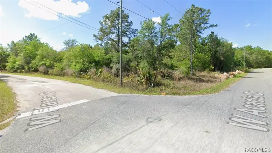 11954 W Flaxen Drive, Crystal River, FL 34428 - #2