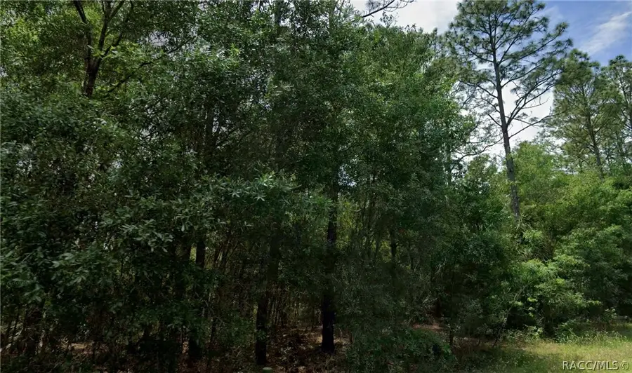864 W Bannister Drive, Citrus Springs, FL 34434 - #2