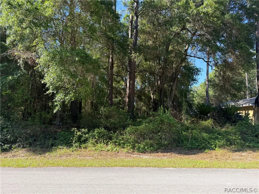 10927 N Airway Loop, Citrus Springs, FL 34434 - #1