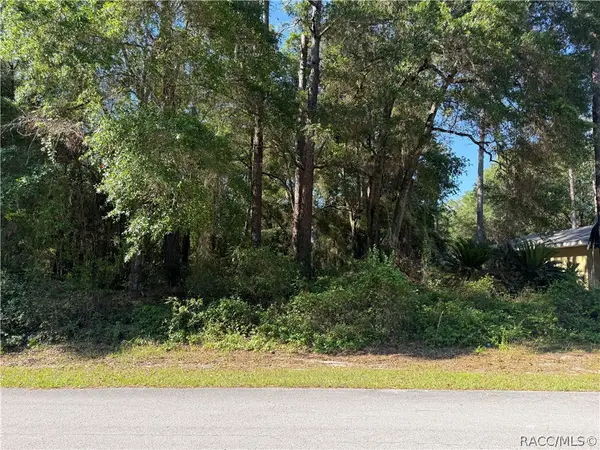 10927 N Airway Loop, Citrus Springs, FL 34434