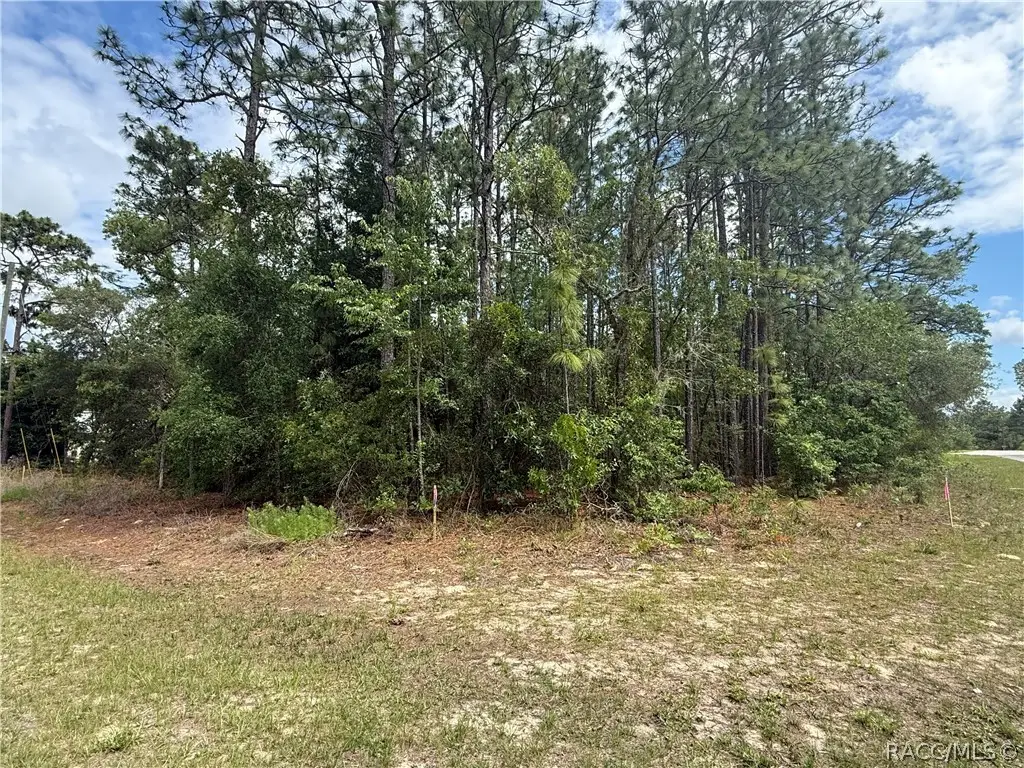 7103 N Hemmingway Drive, Dunnellon, FL 34434 - #1
