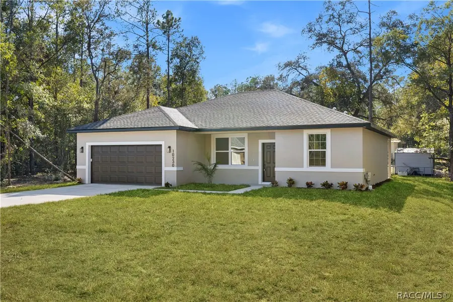 10032 N Deltona Boulevard, Citrus Springs, FL 34434 - #2
