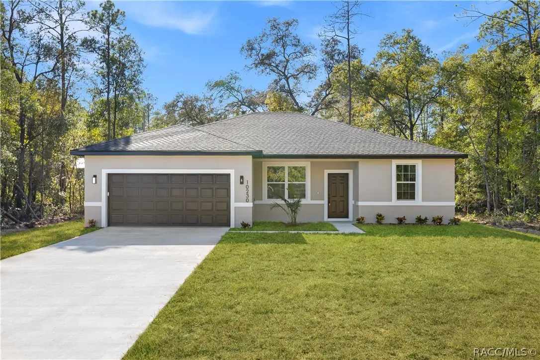 3378 W Citrus Springs Boulevard, Citrus Springs, FL 34433 - #1