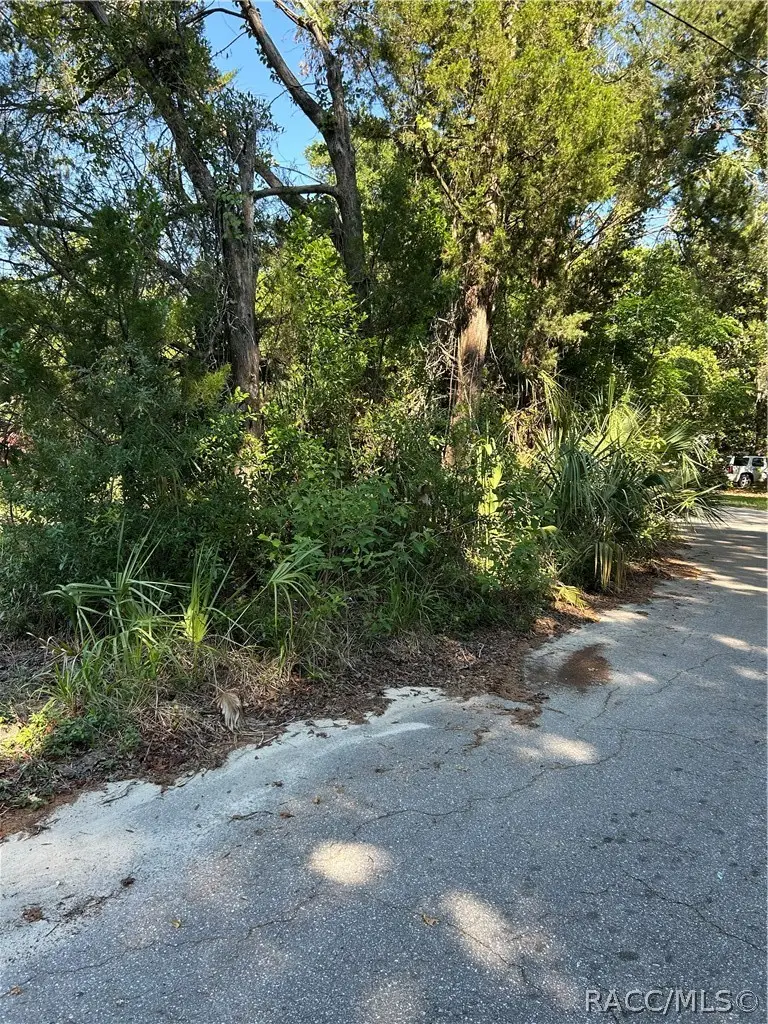 1875 N Scenic Way, Crystal River, FL 34429 - #2
