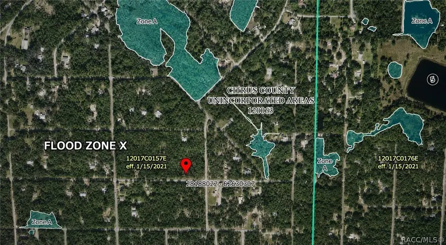 11683 W Checkerberry Drive, Crystal River, FL 34428 - #2