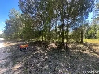 3216 Amphibian Point, Crystal River, FL 34428