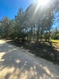 3216 Amphibian Point, Crystal River, FL 34428 - #2
