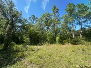 3216 Amphibian Point, Crystal River, FL 34428 - #3
