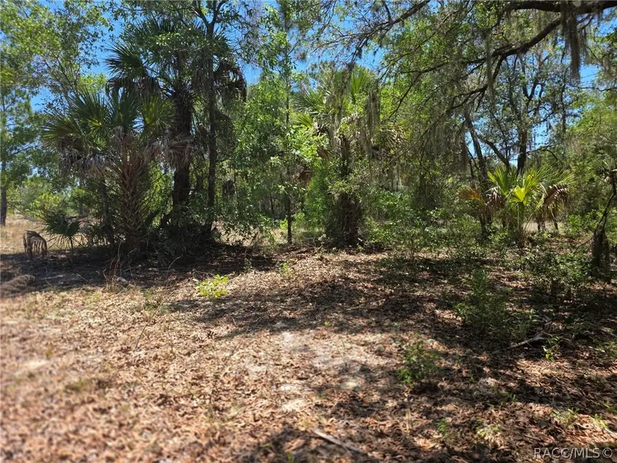 11837 N Captiva Terrace, Dunnellon, FL 34433 - #2