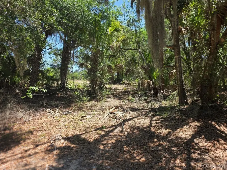 11837 N Captiva Terrace, Dunnellon, FL 34433 - #3
