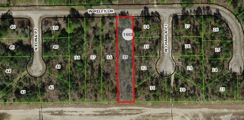 1142 W Riley Drive, Dunnellon, FL 34434 - #1