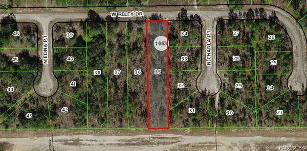 1142 W Riley Drive, Dunnellon, FL 34434