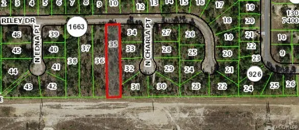 1142 W Riley Drive, Dunnellon, FL 34434 - #2