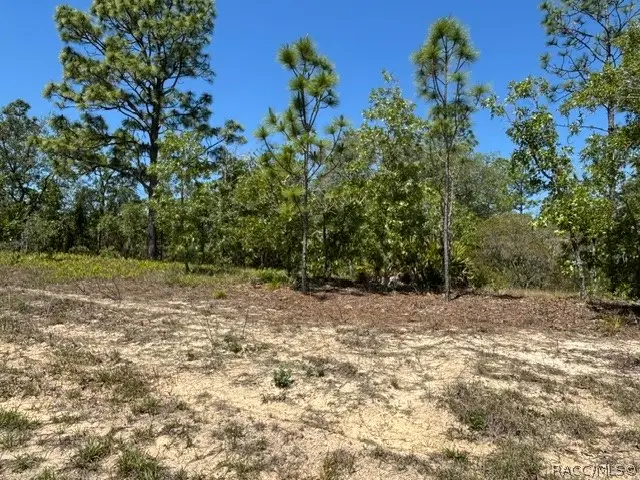 2888 W Lambert Drive, Dunnellon, FL 34433 - #2