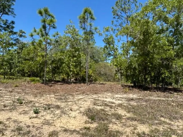 2888 W Lambert Drive, Dunnellon, FL 34433 - #3