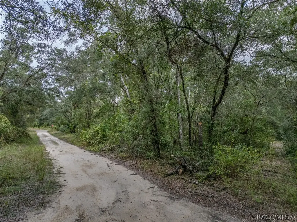 35 N Baker Terrace, Inverness, FL 34453 - #1