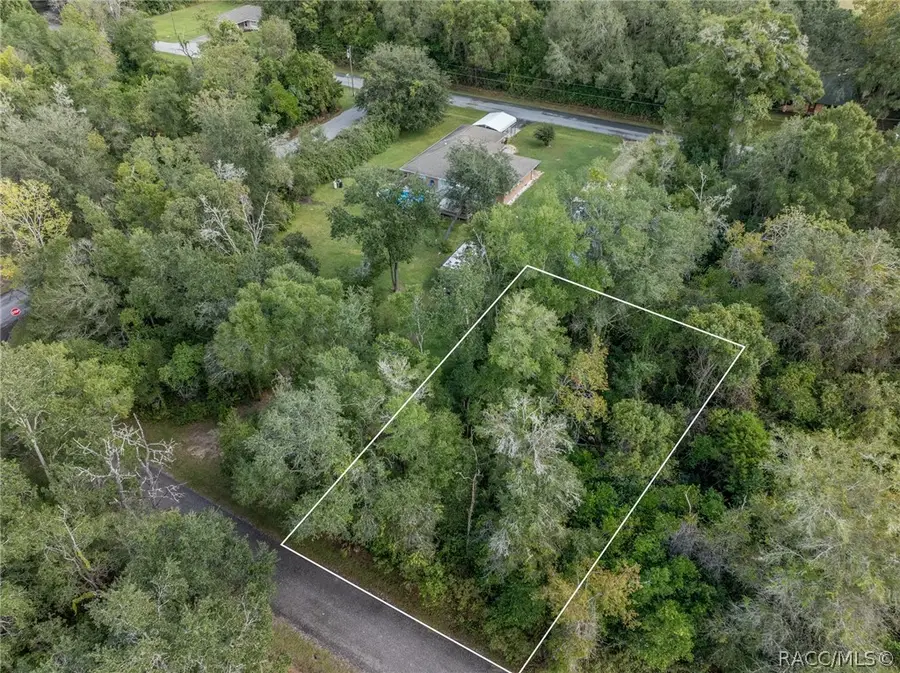 1043 N Beatrice Terrace, Inverness, FL 34453 - #2