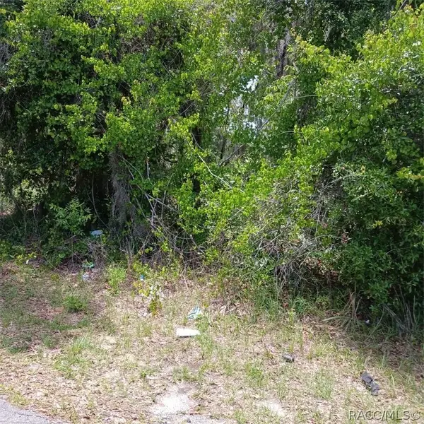 215 & 217 Country Walk, Inverness, FL 34453