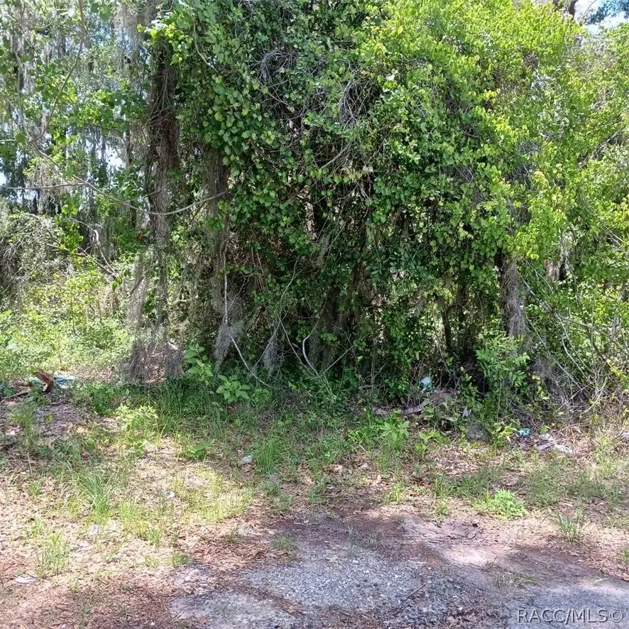 215 & 217 Country Walk, Inverness, FL 34453 - #2