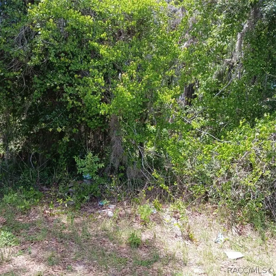 215 & 217 Country Walk, Inverness, FL 34453 - #3