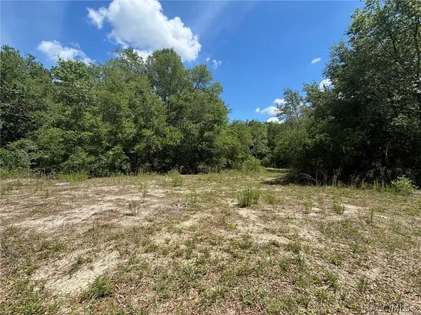 2608 Polk Street, Inverness, FL 34453