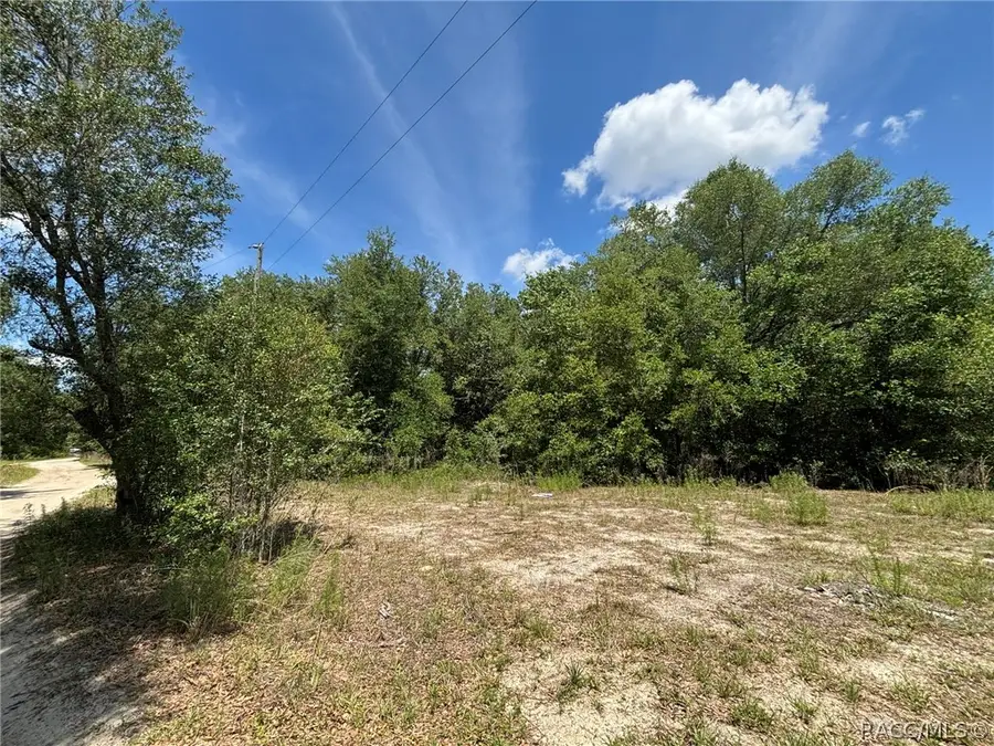 2608 Polk Street, Inverness, FL 34453 - #2