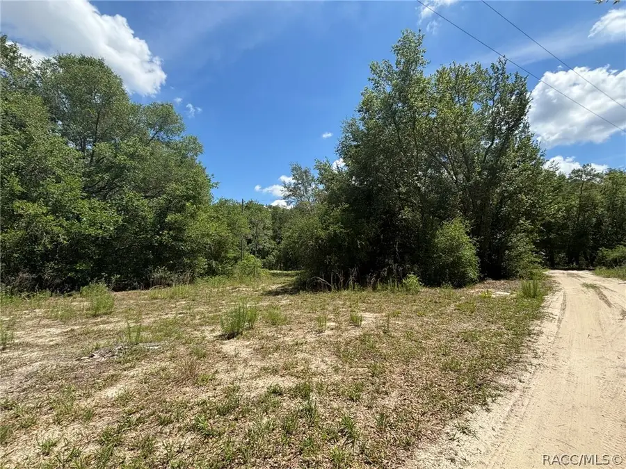 2608 Polk Street, Inverness, FL 34453 - #3