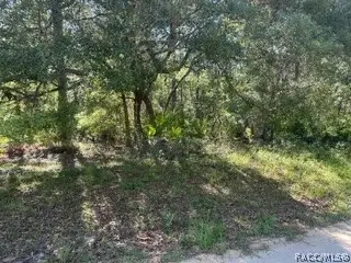 3234 Amphibian Point, Crystal River, FL 34428