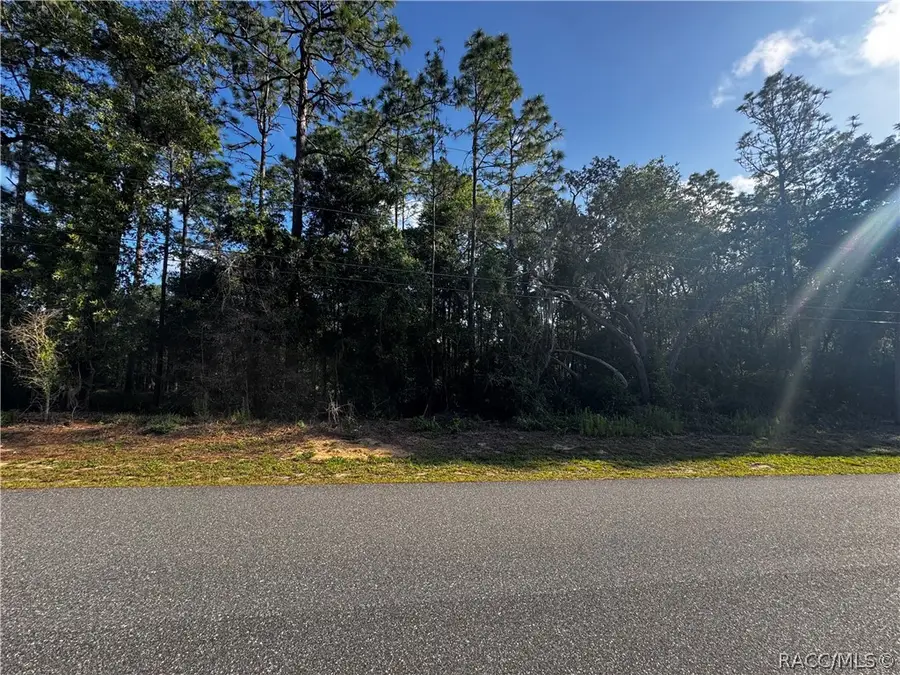 5241 E Hopp Lane, Inverness, FL 34452 - #2