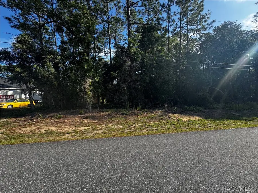 5241 E Hopp Lane, Inverness, FL 34452 - #3
