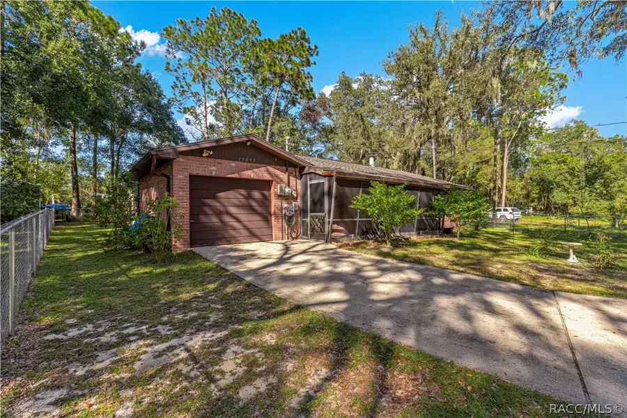 17051 SE 61st Plaza, Ocklawaha, FL 32179 - #3