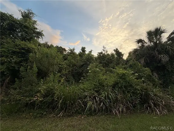 1062 N Fan Palm Point, Crystal River, FL 34429