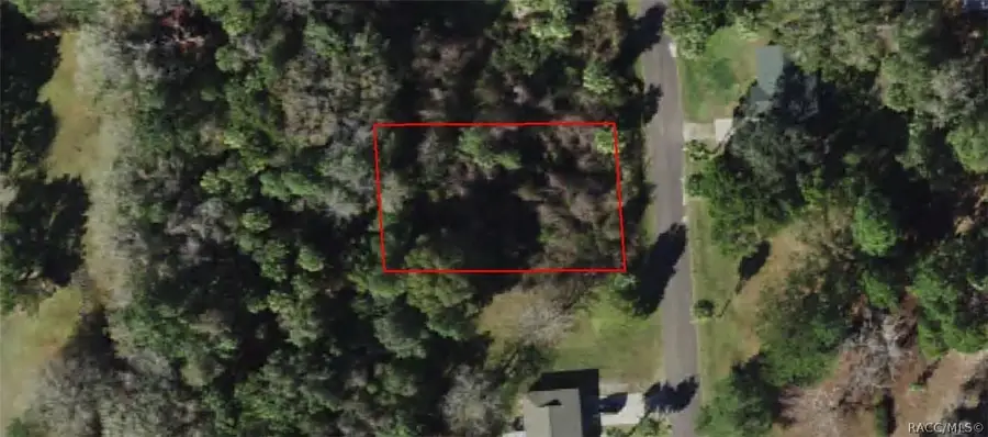 1062 N Fan Palm Point, Crystal River, FL 34429 - #3