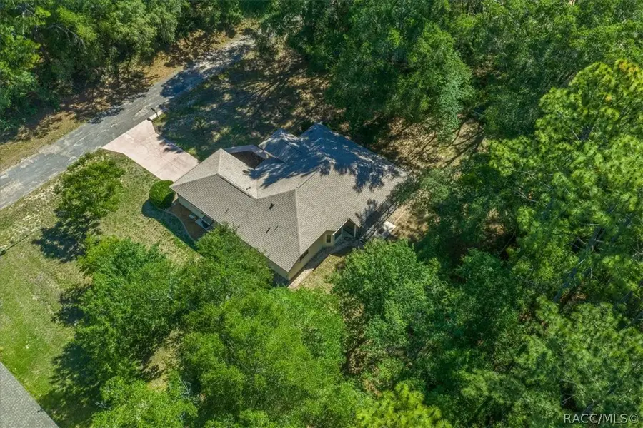 84 W Lathan Lane, Citrus Springs, FL 34434 - #2