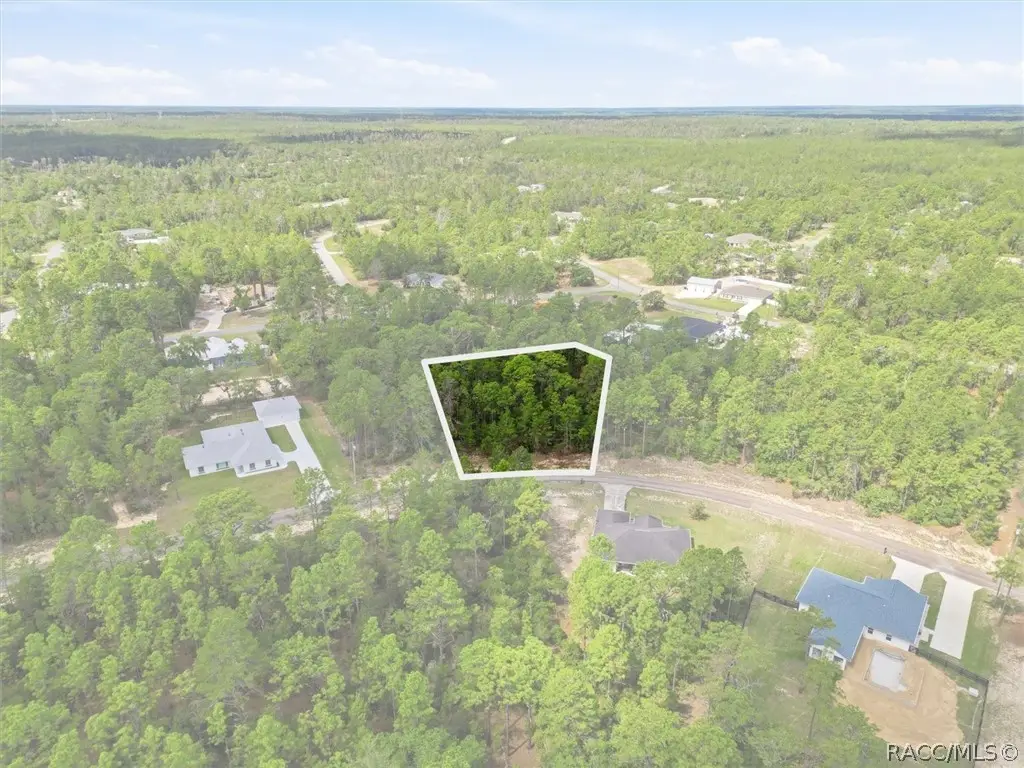 8726 N Ronda Drive, Dunnellon, FL 34433 - #1