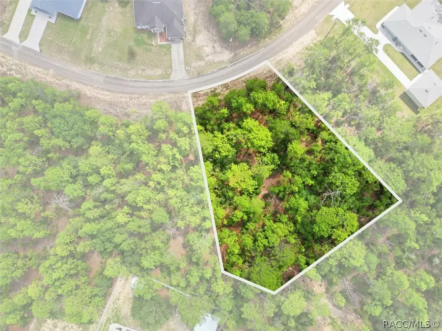 8726 N Ronda Drive, Dunnellon, FL 34433 - #2