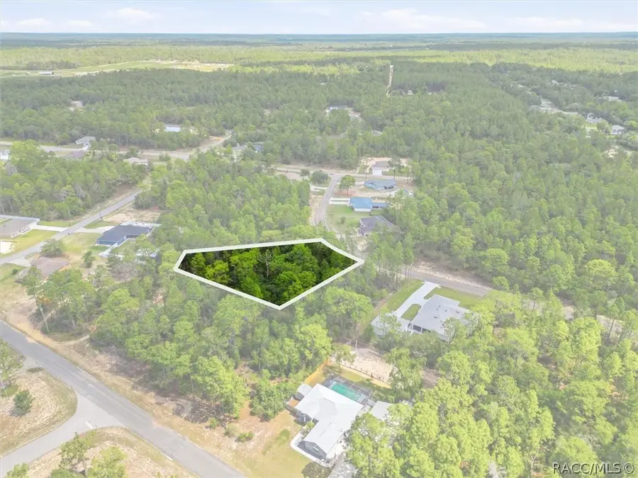 8726 N Ronda Drive, Dunnellon, FL 34433 - #3
