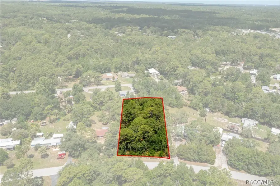 3238 S Aberdeen Terrace, Homosassa, FL 34448 - #2